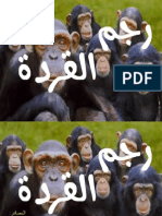 رجم القردة في الإسلام