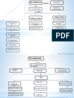 Mapa Conceptual 1