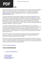 Download What Are Bacteria_  Streptococcus Faecalis by Ankan Pal SN144937708 doc pdf