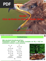 Aula-Ciclo-de-Krebs-ou-Ciclo-do-ácido-cítrico