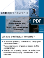 Protecting The Idea and Other Legal Issues For The Entrepreneur