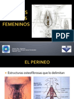 Genitales Femeninos Externos