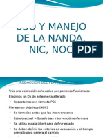 67579609 Uso y Manejo de Nanda Nic