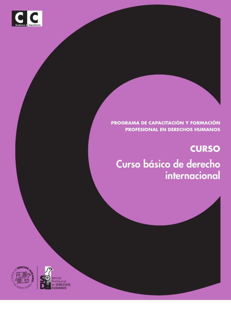 Derecho Internacional | PDF | Convenio europeo de derechos humanos ...