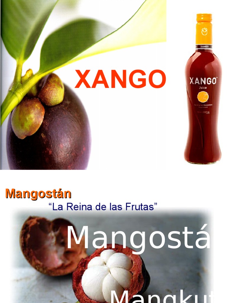 Xango Ok PDF Diabetes mellitus Antioxidante