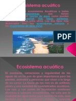 Ecocistemas Acuaticos