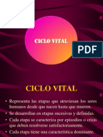 Ciclo Vital