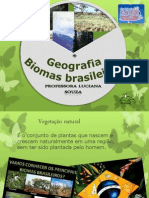 Biomas Brasileiros - Palestra