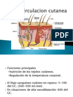 Regulación del flujo sanguíneo en los tejidos y órganos