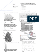 Biologi-Sistem Peredarah Darah