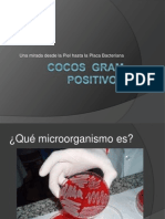 Cocos Gram Positivos