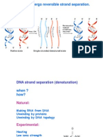 II. Cot Analysis