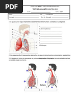 Teste Maio 2013 Sist Resp Circul
