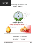 Download Tiu Lun Vitamin E  C by Giang Thanh Hiep SN145055243 doc pdf