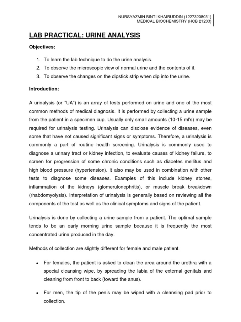 Urine Analysis Lab Report Biochem 3 Urine Urinary System