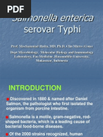 Salmonella Typhi 2012