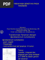 Download Rekayasa Gen Tanaman 2008 by Susi Susiyanti SN145079728 doc pdf