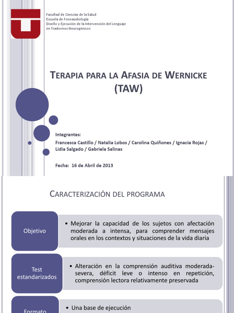 Terapia Para La Afasia De Wernicke Afasia Lectura Proceso