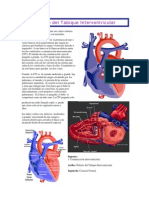 Resource Sp Vsd p