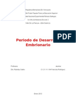 Informe de Periodo de Desarrollo