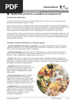 classificação alimentos na roda