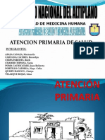 Final Atención Primaria