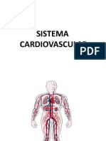 Sistema Cardiovascular