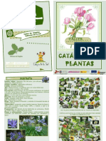 Catalogo Plantas