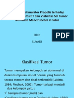 Efek Imunostimulator Propolis Terhadap