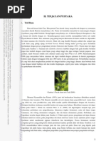 Download Bab II Tinjauan Pustaka Teh by Tria Yussanti SN145198412 doc pdf