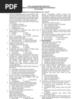 Download Soal Ulangan Akhir Semester 1 by prasteeuw SN14520277 doc pdf