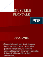 Sinusurile Frontale