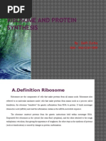 Protein Synthesis Notes PDF | PDF