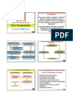 Ciclo Orcamentario