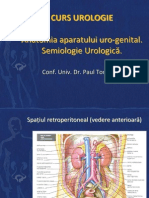 Curs Urologie 1 Semiologie