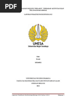 Download Pengaruh kadar oksigen terlarut terhadap aktifitas ikan niladoc by Ernest No Yuutsu SN145254125 doc pdf