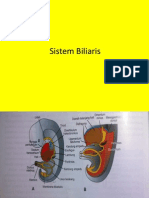 Embriologi Pankreas