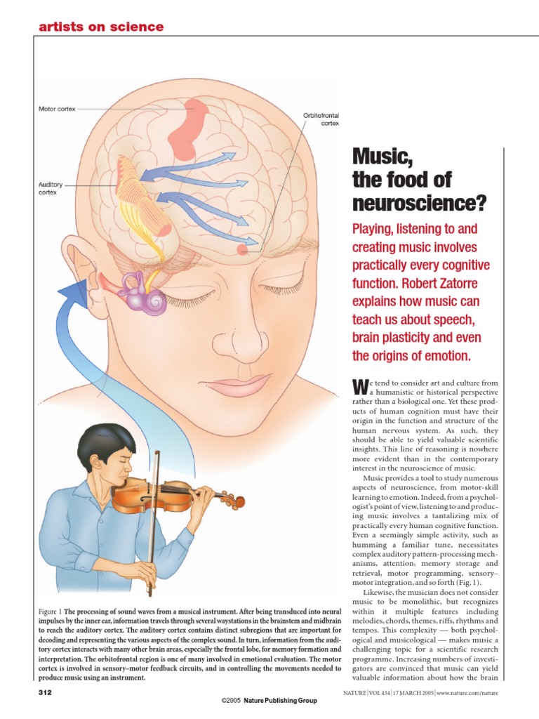 Zatorre - Music, The Food of Neuroscience | PDF | Perception | Brain