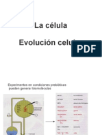 1 - La Celula-Evolucion Celular