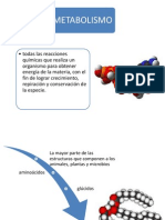 Quimica Metabolismo