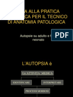 Autopsia .pdf