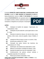 Plano de Ação PDF