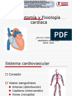 Anatomía y Fisiología Cardiaca