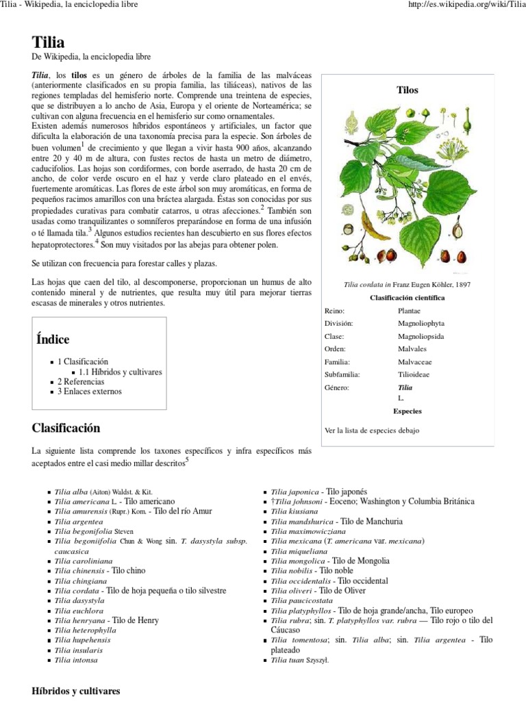 Tilo Wikipedia, La Enciclopedia Libre PDF Plantas Horticultura