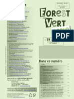 Forest & Vert 29