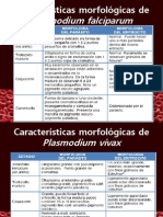 Mofolog a Del Falciparum y Vivax