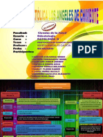 Protocolo Espec Odontolog- Mapa-1