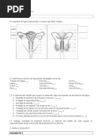 DIAGNOSTICO 12 2011-2012