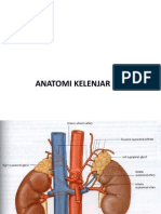 Anatomi Kelenjar Adrenal