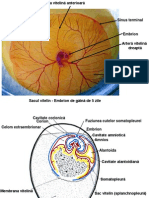 11 20-12-06Anexele Extraembrionare La Pasari